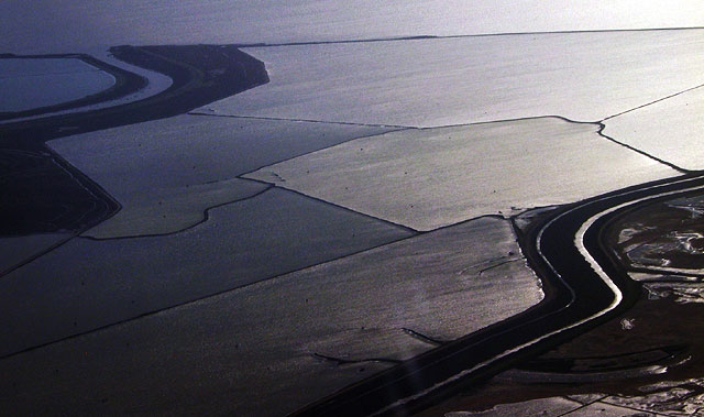 San Francisco Bay ends on its south end in patchwork of mud flats -- lit up by the late afternoon sun.