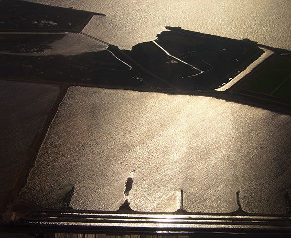 Sunlight reflects off the low water, rippled by the afternoon breeze.