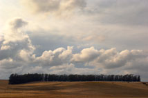 Tim Porter Photography