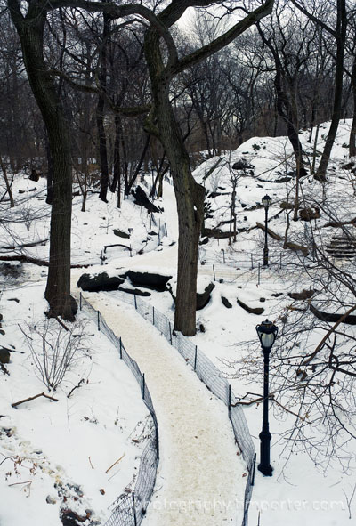 Central Park in New York in the snow