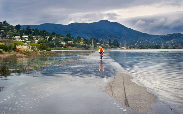 Bike rider in Bothin Marsh at high tide