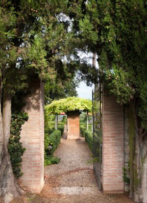 ItalyTuscany_0810_049.jpg