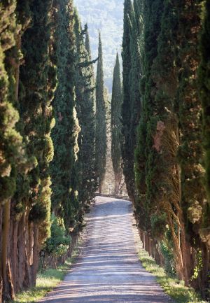 ItalyTuscany_0810_131.jpg