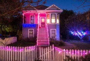 MillValley_121711_017.jpg