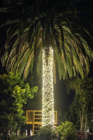 MillValley_121711_034.jpg