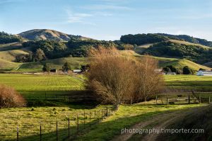 GaleRanch_011913_012.jpg