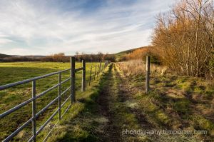 GaleRanch_011913_019.jpg