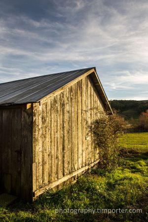 GaleRanch_011913_025.jpg