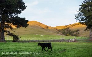 GaleRanch_011913_045.jpg