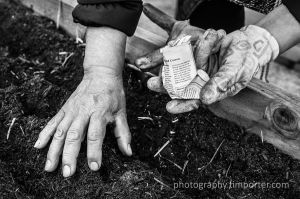 CanalGarden_033013_148.jpg