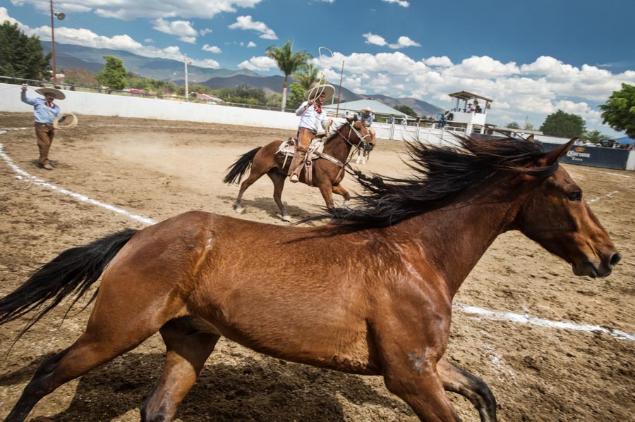 OaxacaCharros_030814_017