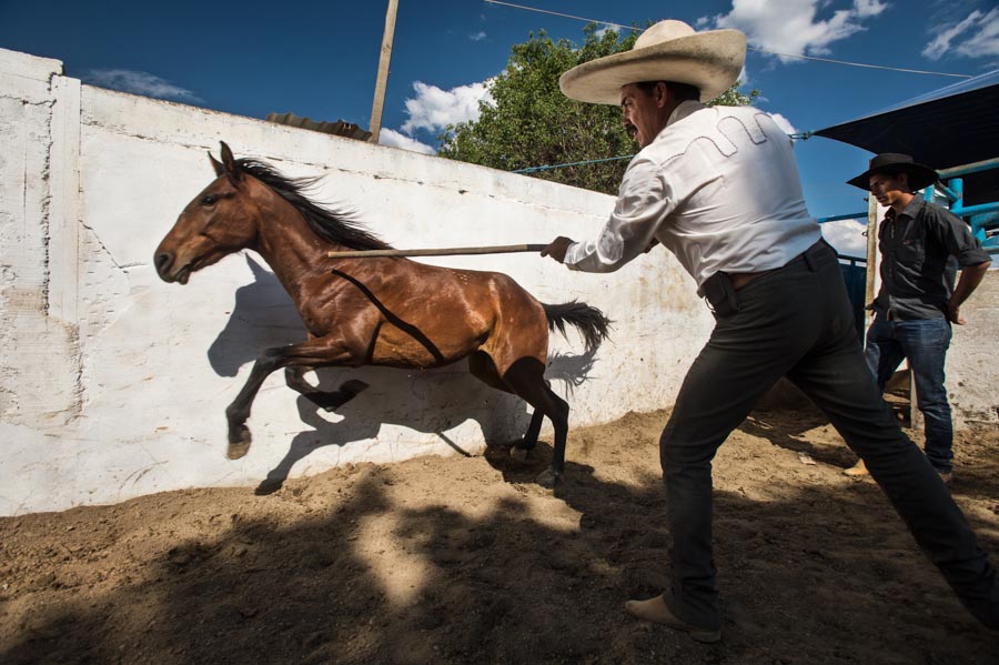 OaxacaCharros_030814_155