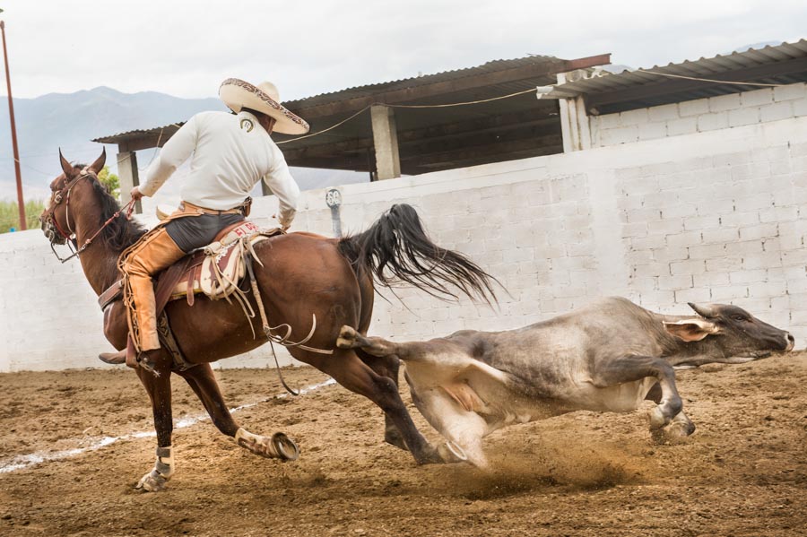 OaxacaCharros_030914_066